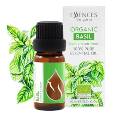 Basil