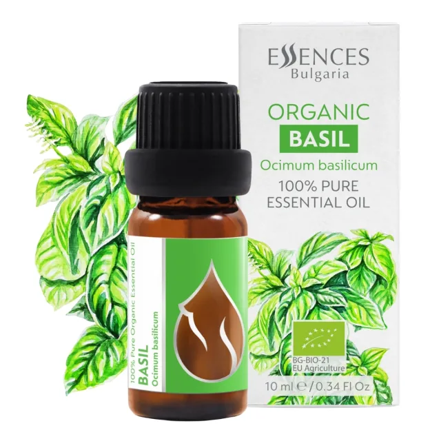 Basil