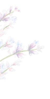 Herb 1