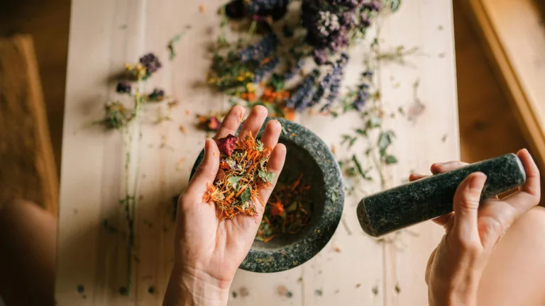 Herbs